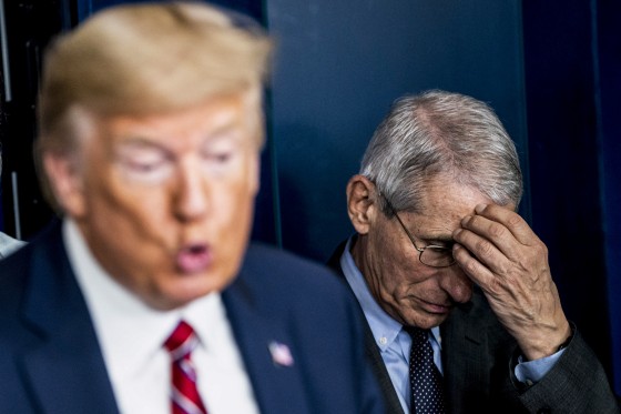 Anthony Fauci listen as Donald J. Trump.