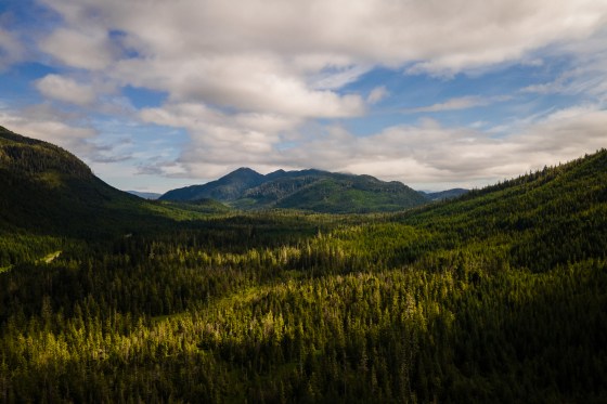 The Tongass National Forest