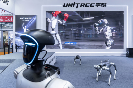 Inside the Embodied Intelligent Robot Industry Exhibition