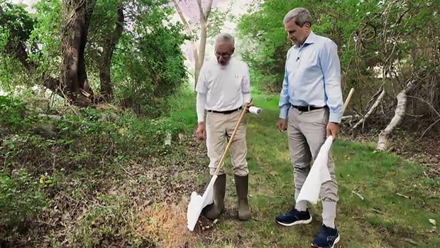 tom-mather-and-david-pogue-in-tick-habitat.jpg